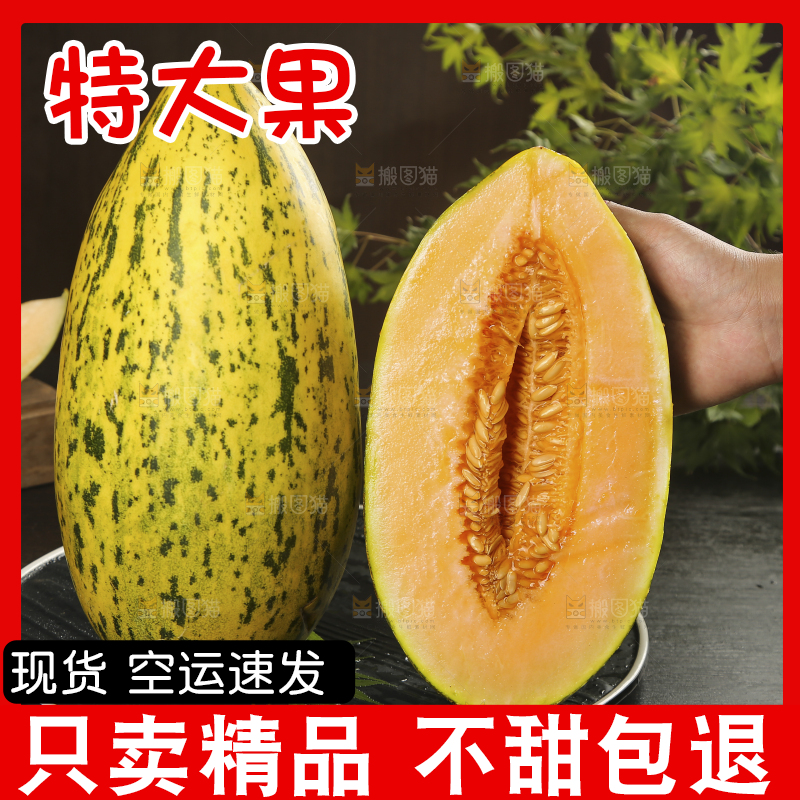 手里拿着切开的哈密瓜