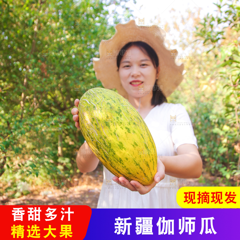 女孩手里拿着哈密瓜