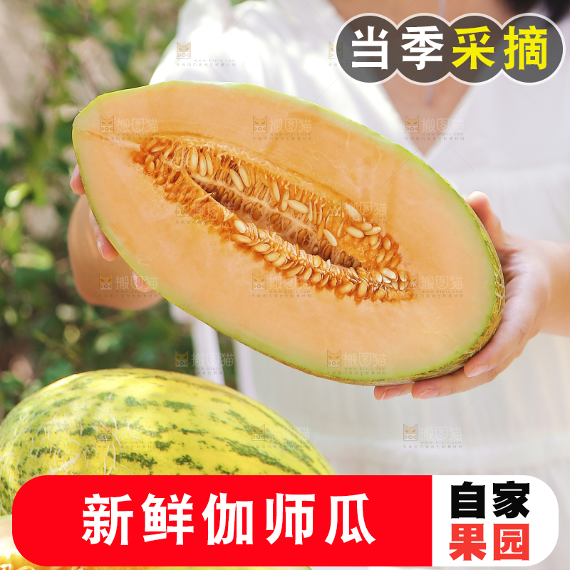 女孩手里切开的哈密瓜