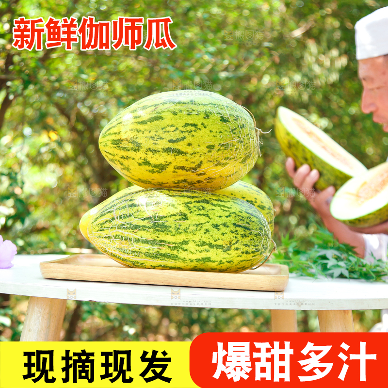 桌子上摆放着哈密瓜