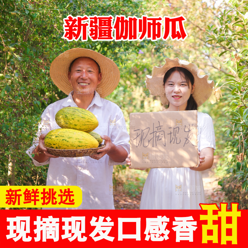 农民手里拿着一篮伽师瓜