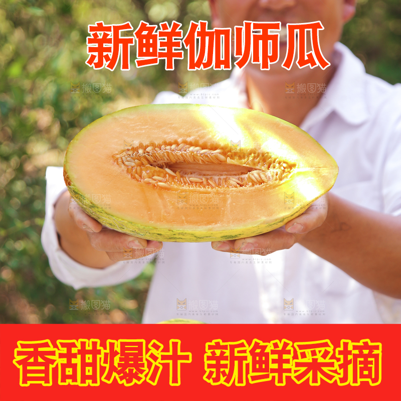 农民手里拿着切开的哈密瓜