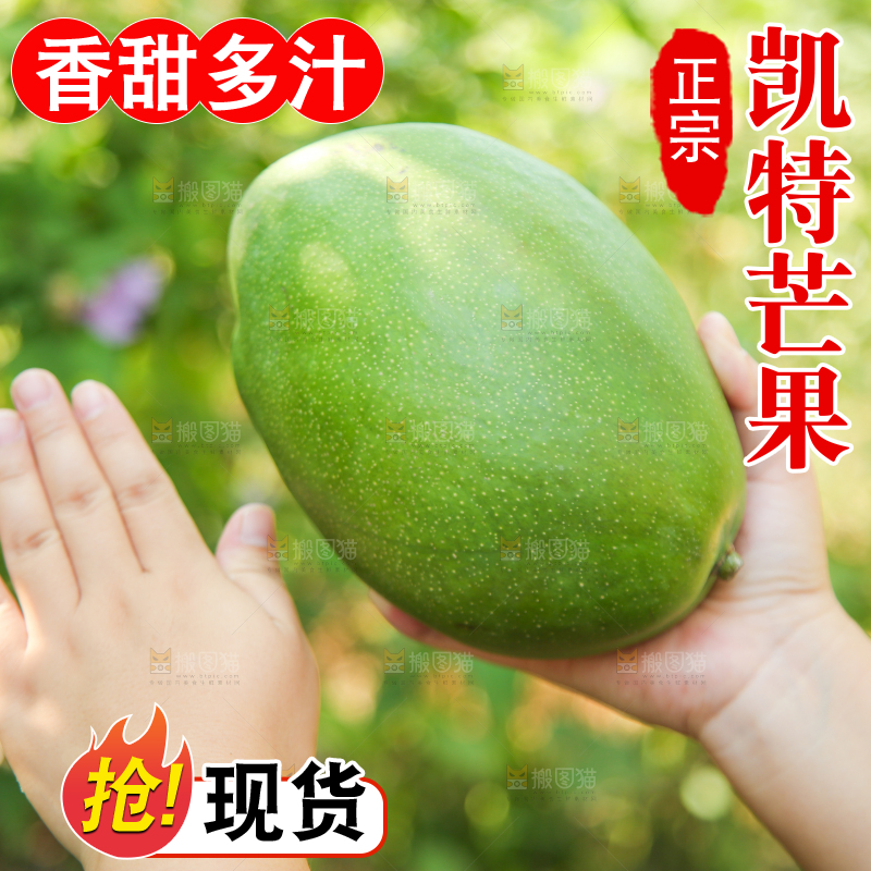 手里拿着凯特大青芒