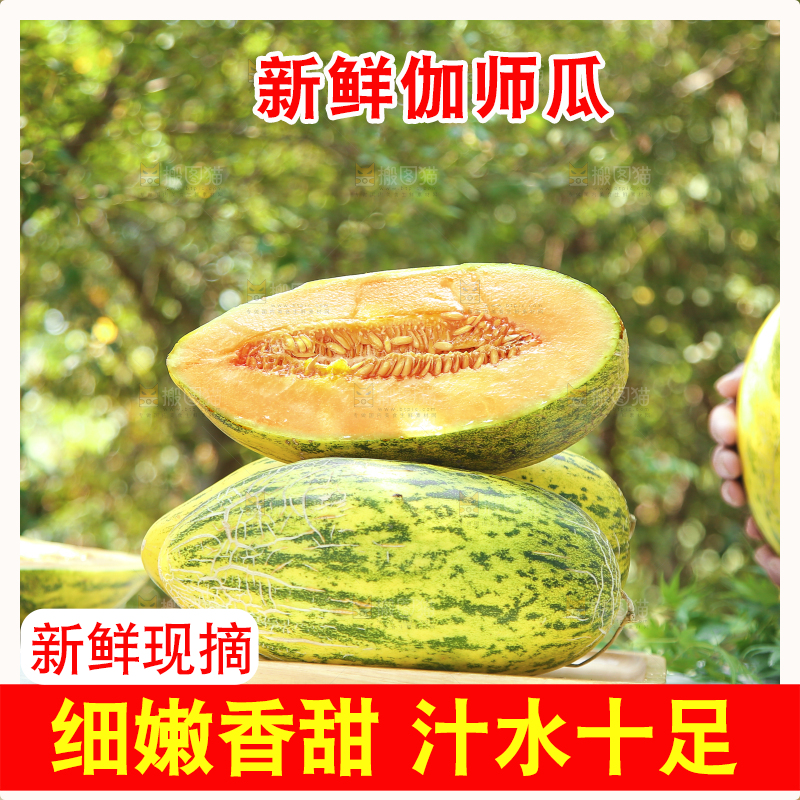 木盘里放着切开的伽师瓜