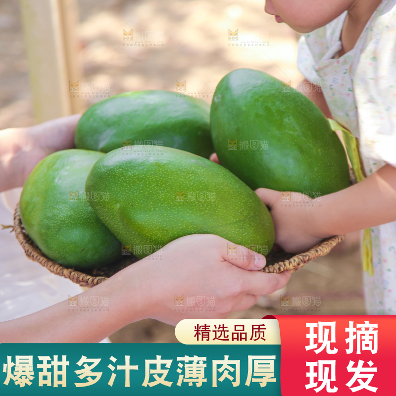 小孩手里拿着凯特芒