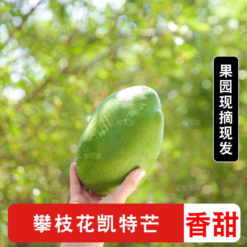 手里拿着凯特芒果