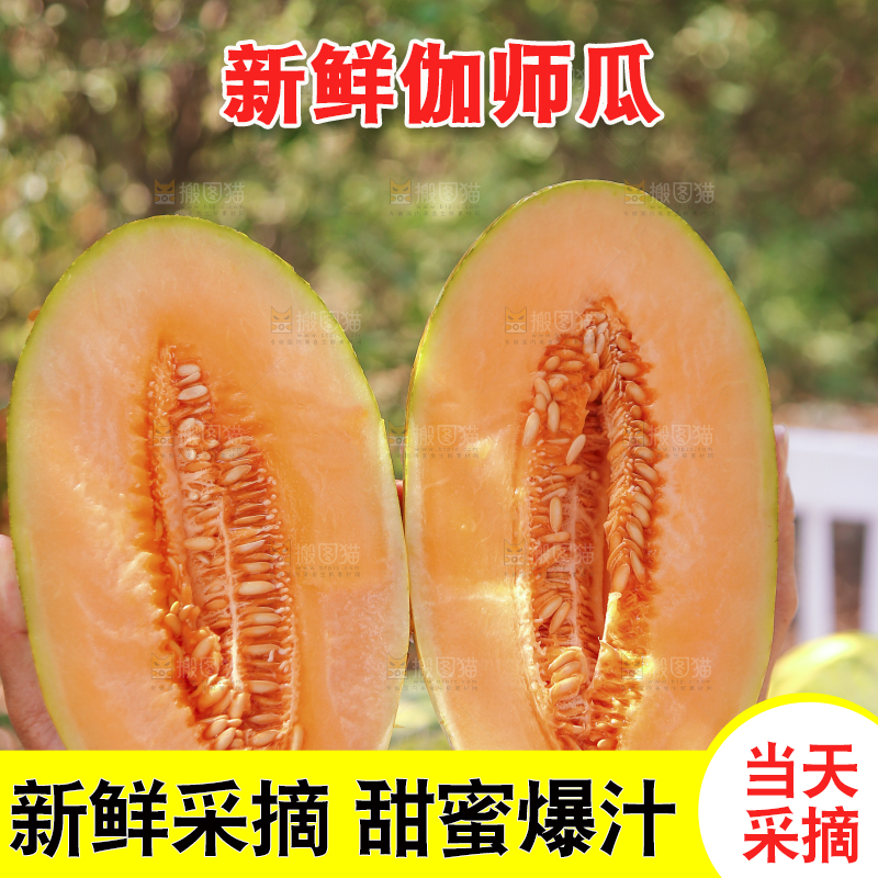 手里拿着切开的哈密瓜