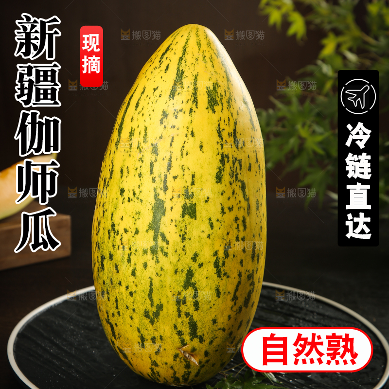 深底上的新疆伽师瓜