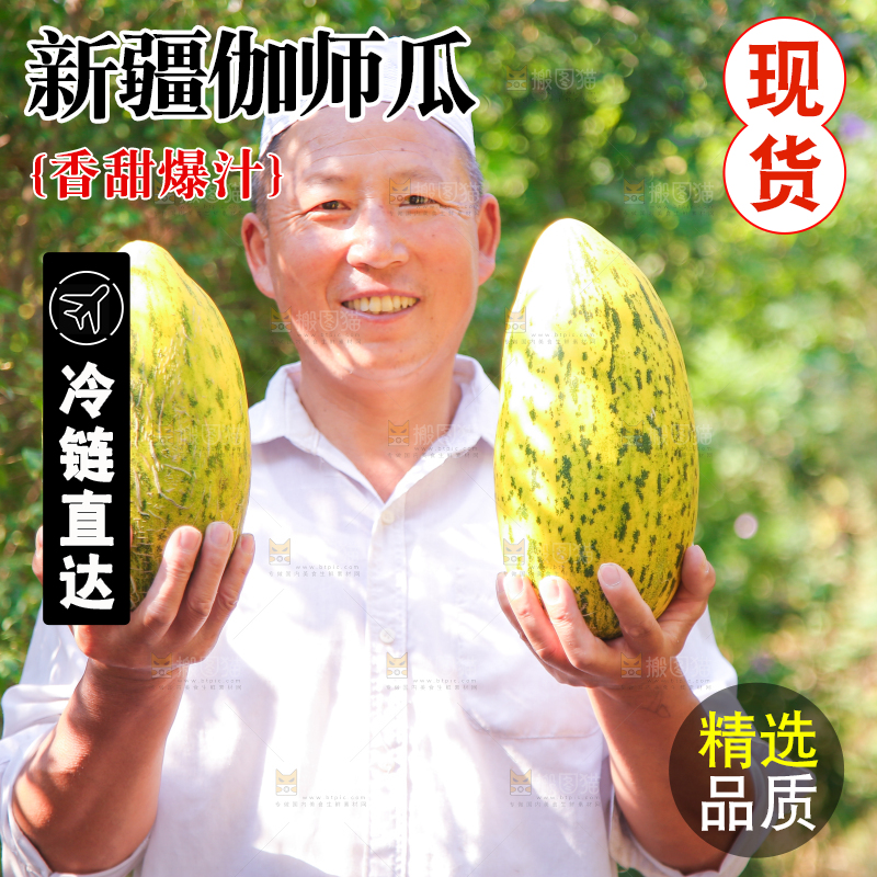 农民手里拿着伽师瓜