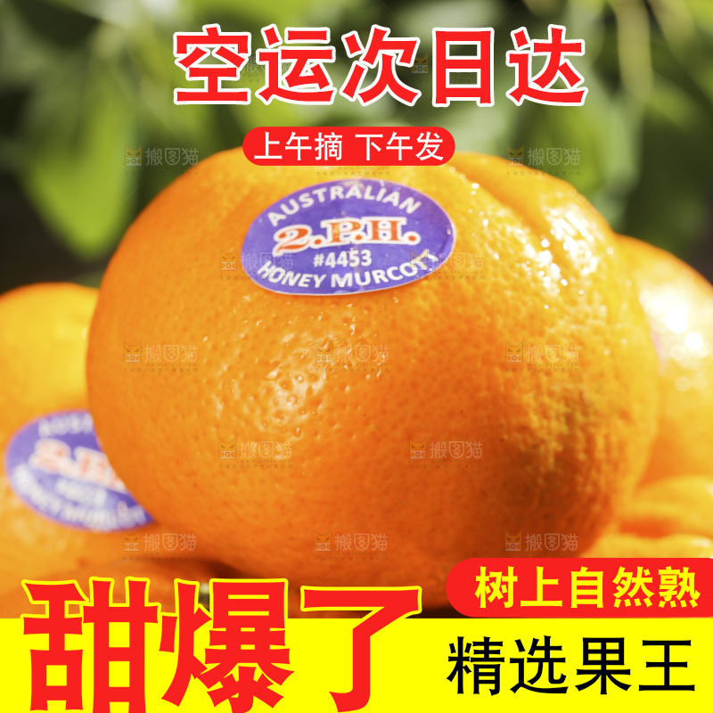 堆放着的新鲜澳柑