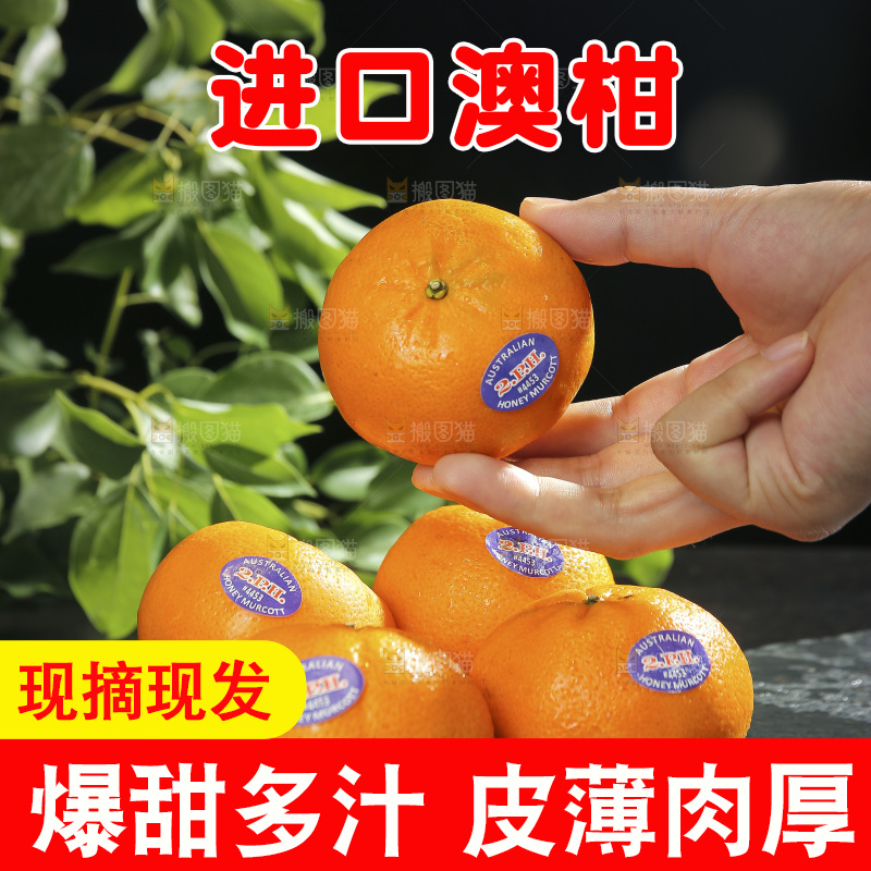 手里拿着进口澳柑