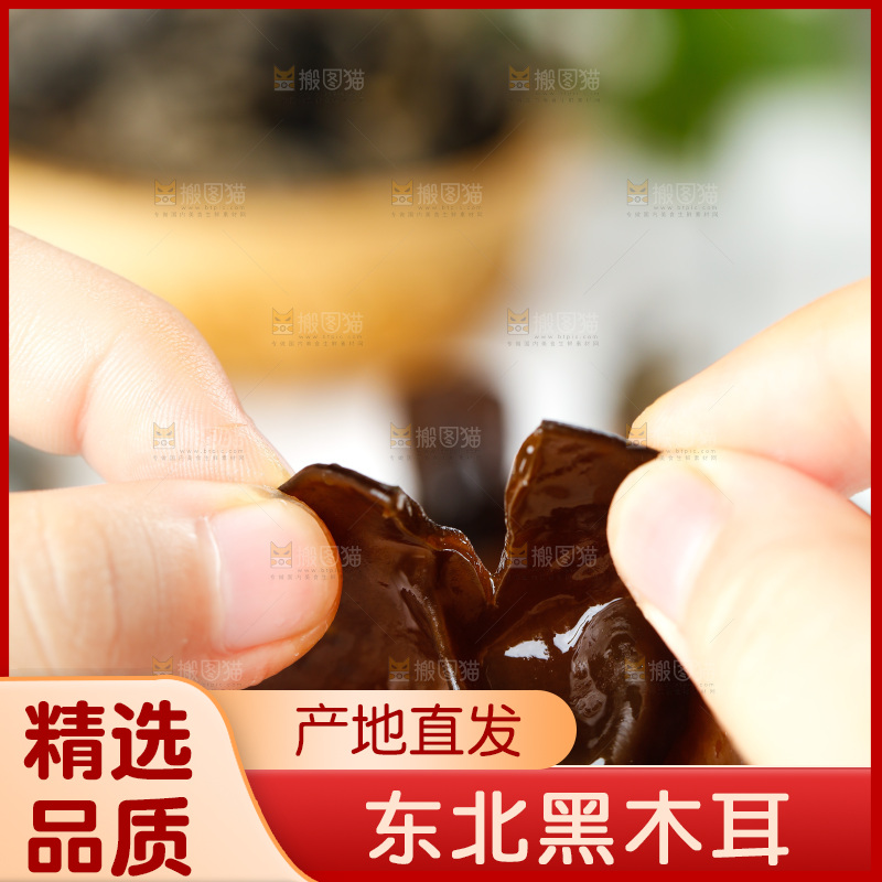手里拿着黑木耳