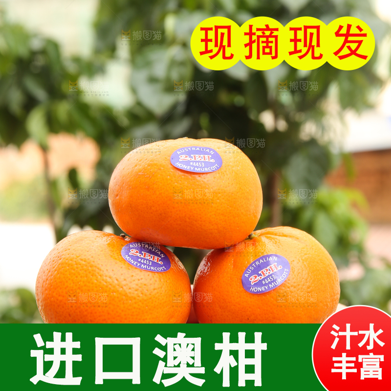 手里堆放着新鲜澳柑