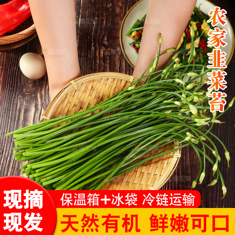 手里拿着一篮嫩韭菜苔