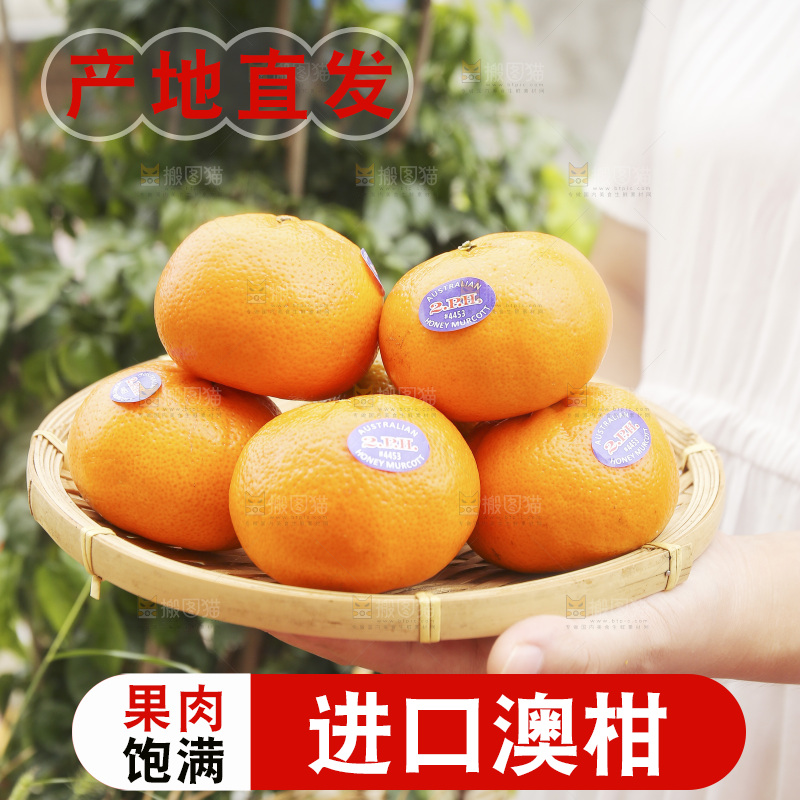 手里端一篮进口澳柑