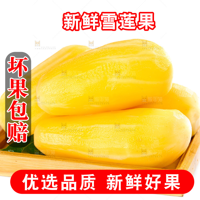木盘里的天山雪莲果