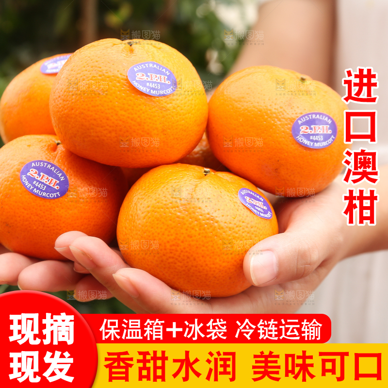 手里堆放着新鲜澳柑