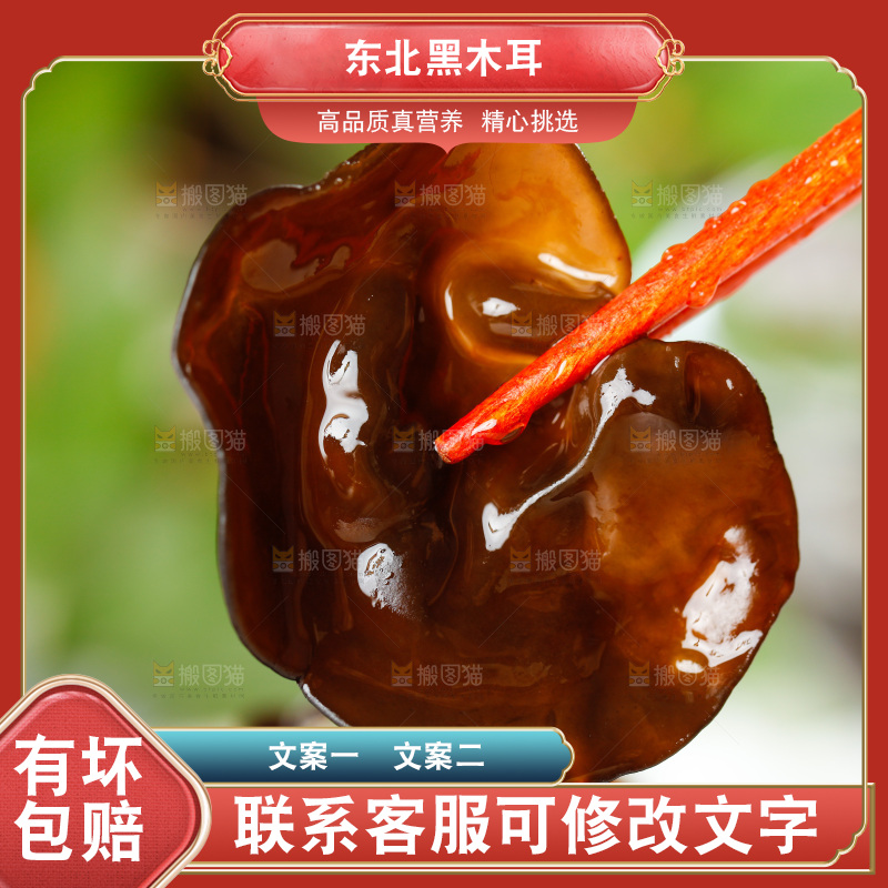 筷子上夹着东北黑木耳