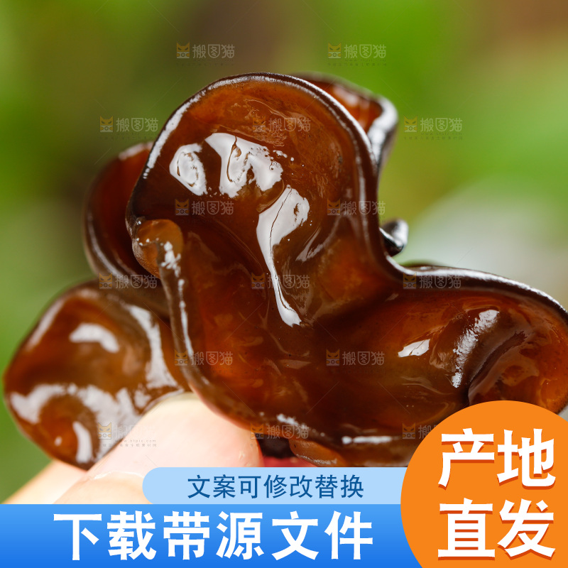 手里拿着黑木耳