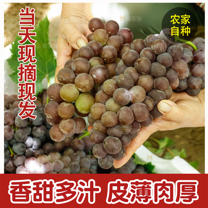 手里拿着新鲜葡萄