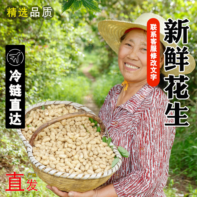 农民手里拿着一筐花生