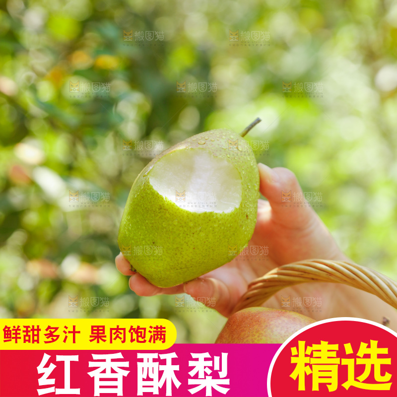 手里拿着红香酥梨