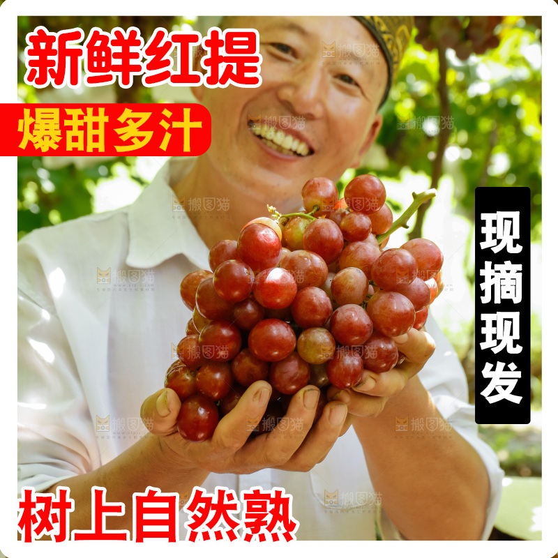 农民手里的大串红提葡萄