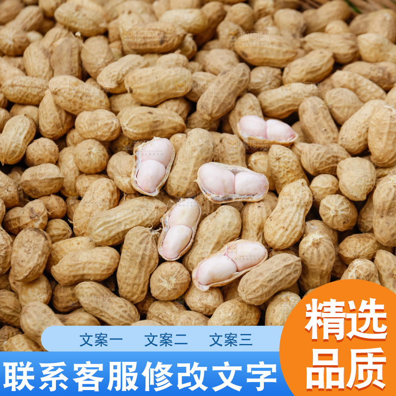 篮子里的新鲜带壳花生