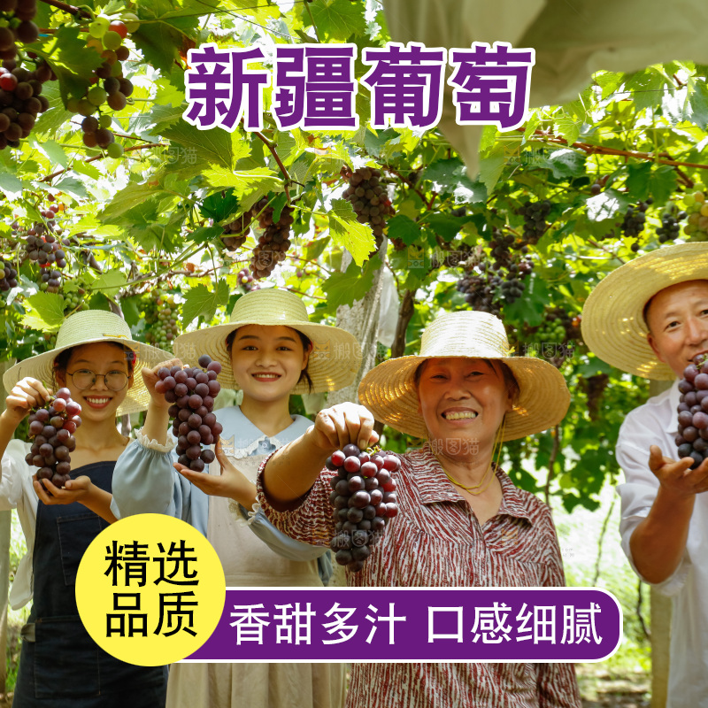 农民手里拿着现摘葡萄