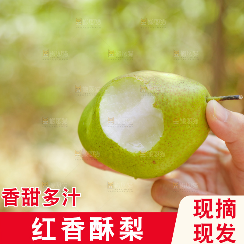手里拿着红香酥梨