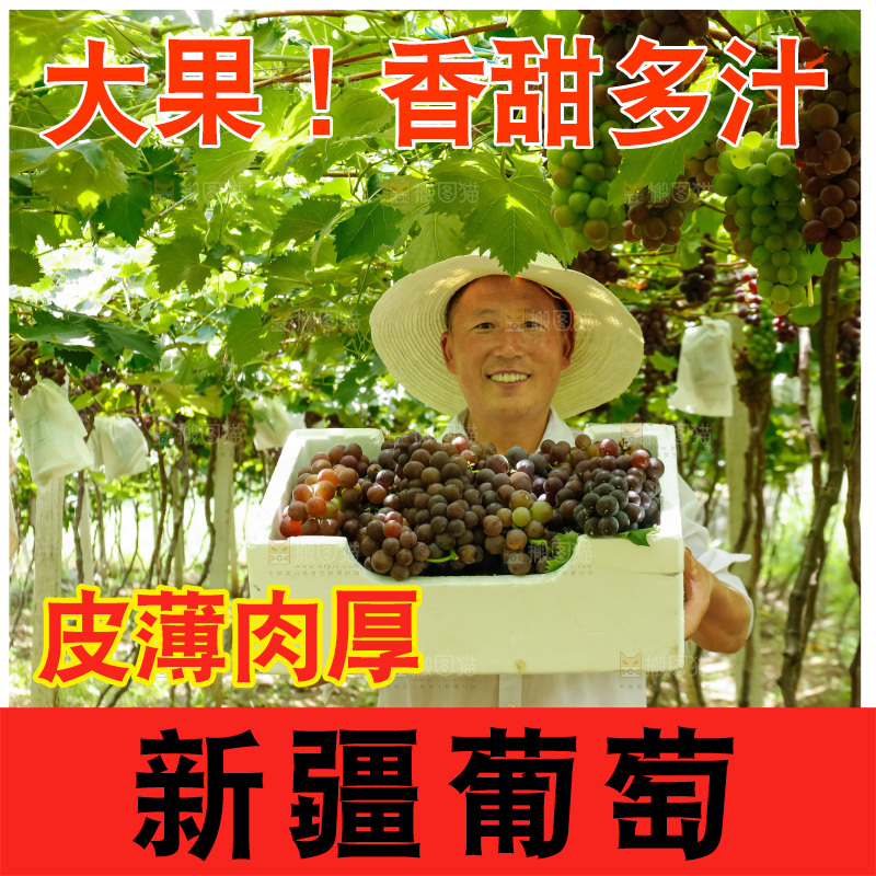 农民拿着一箱葡萄