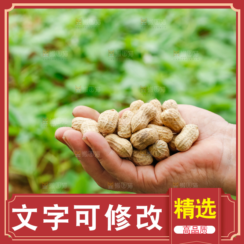 手里的拿着带壳花生