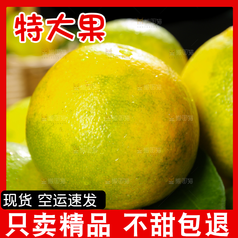 堆放着的爱媛果冻橙