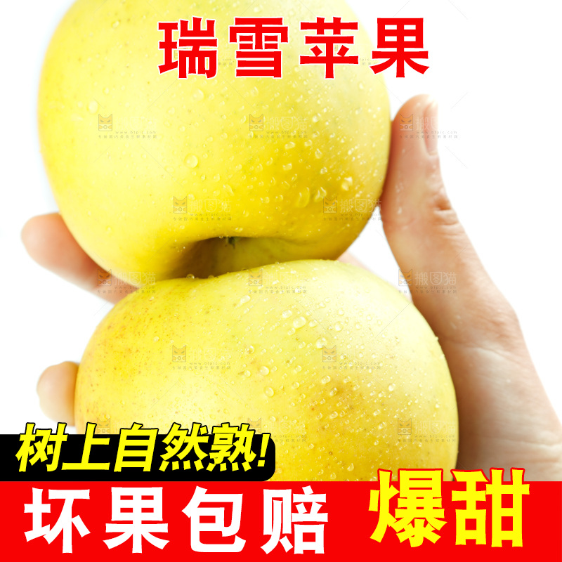 手里拿着瑞雪苹果