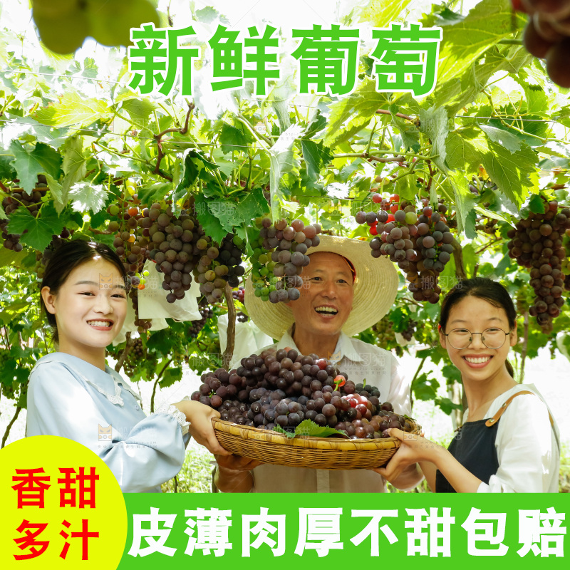 女孩拿着一篮现摘葡萄