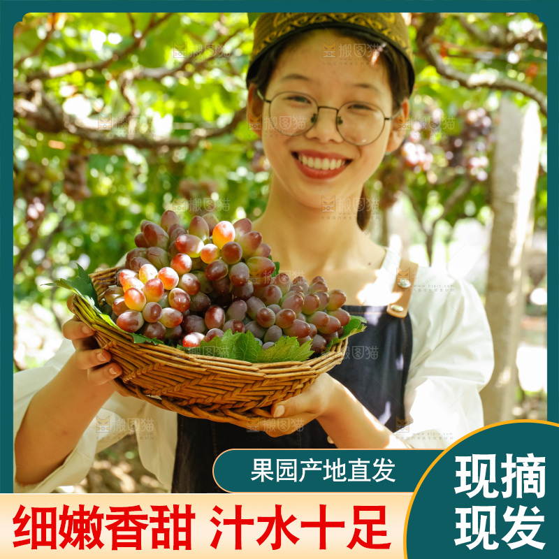 女孩拿着一篮茉莉香葡萄