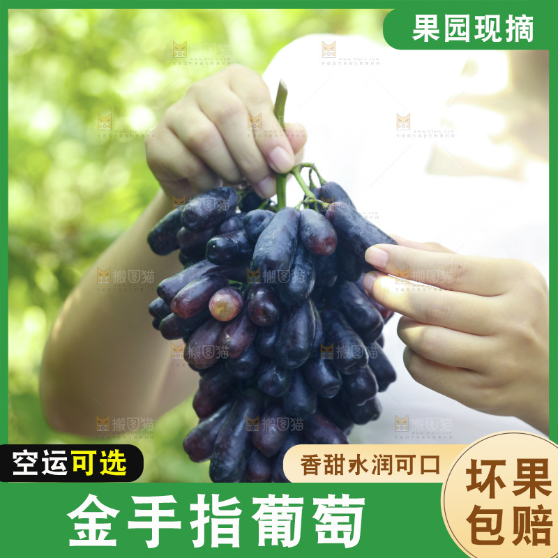 女孩手里拿着金手指葡萄