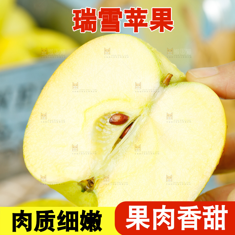 手里拿着瑞雪黄苹果
