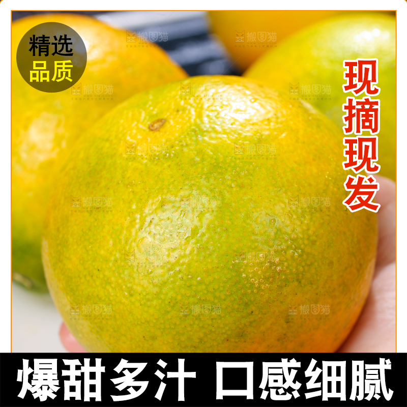 手里拿着爱媛果冻橙