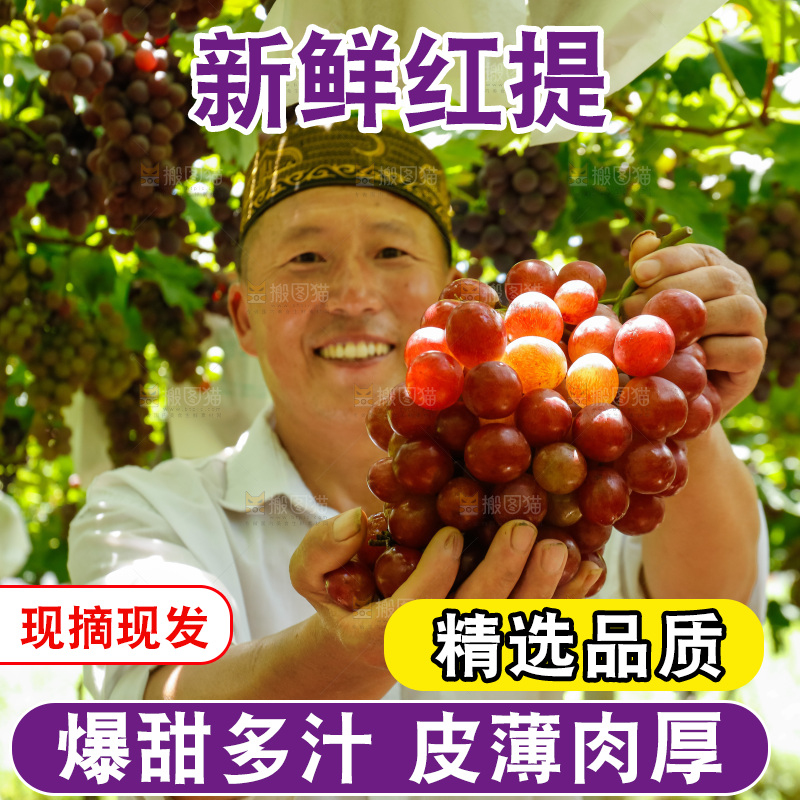 农民手里拿着新鲜红提