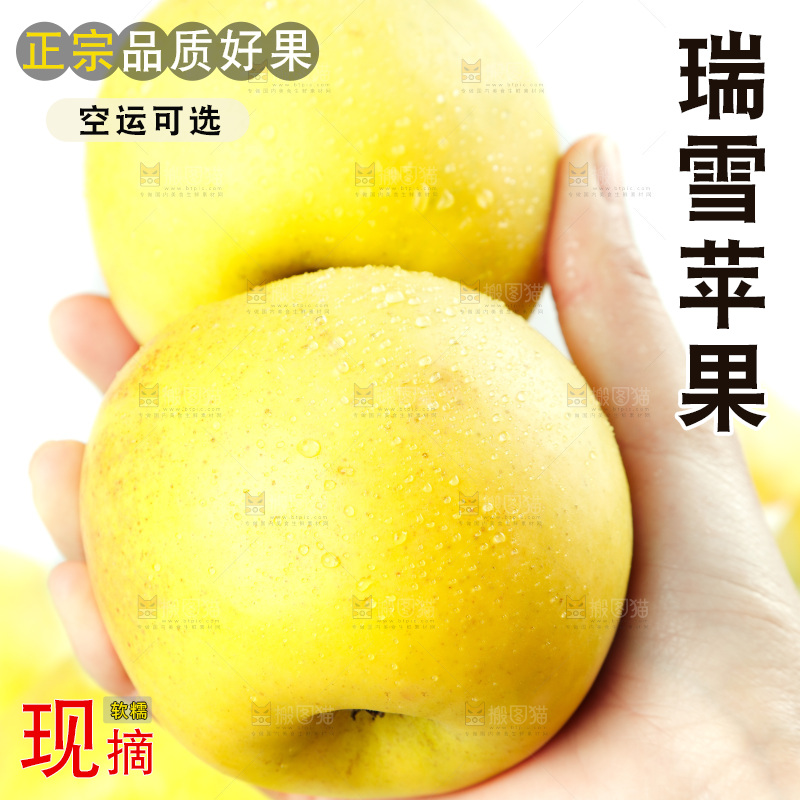 手里拿着瑞雪苹果