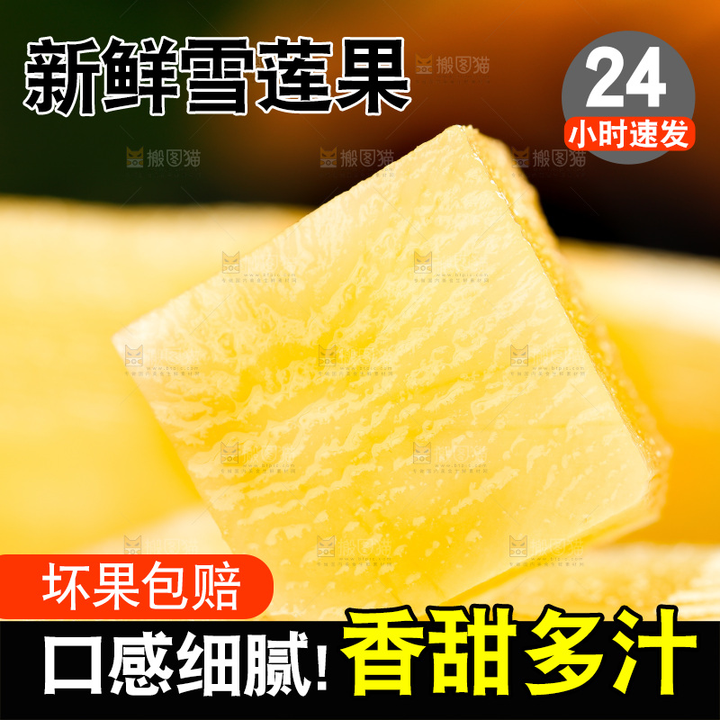 堆放着的天山雪莲果