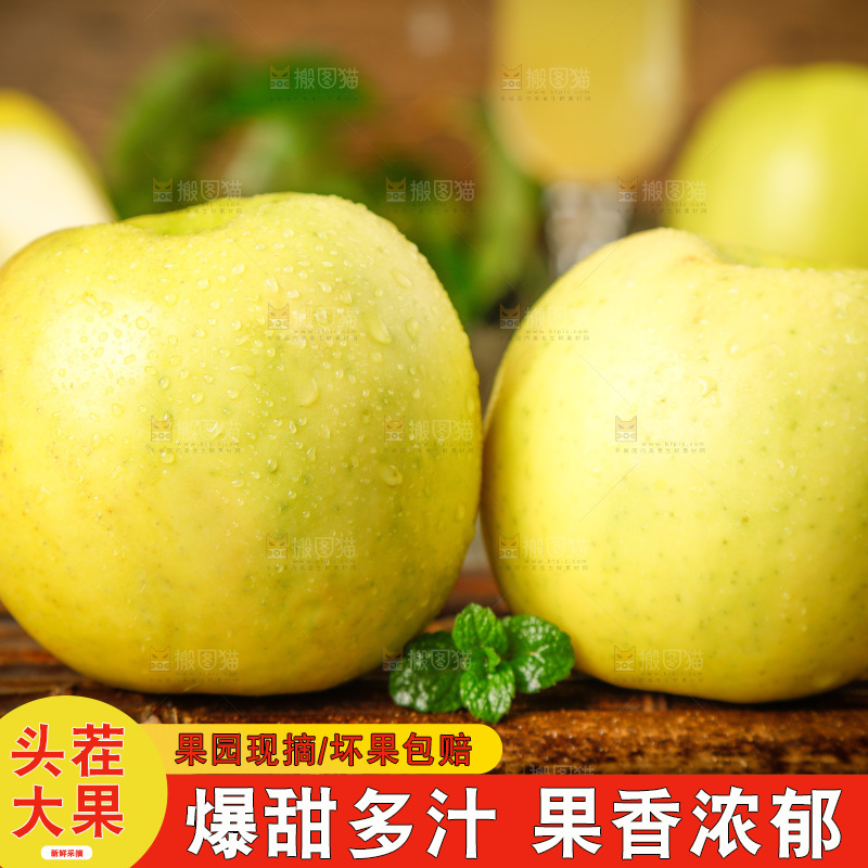 木排上的瑞雪黄苹果
