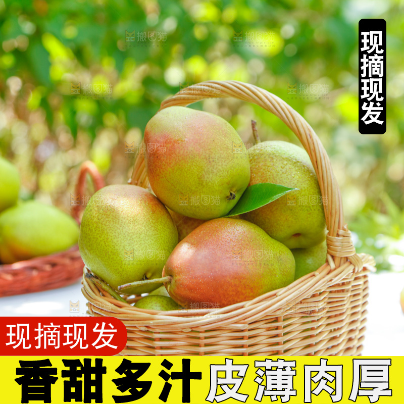 桌子上的一篮香酥梨