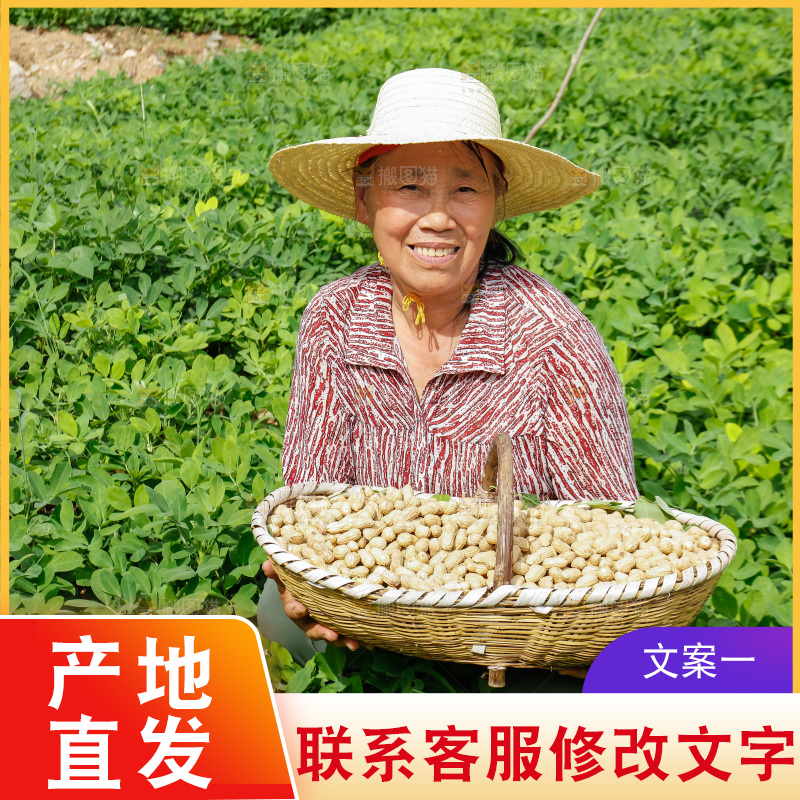 农民手里拿着一筐花生