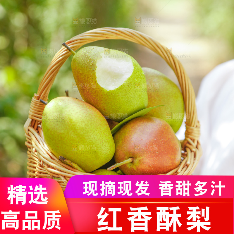 手里拿着一篮红香酥梨