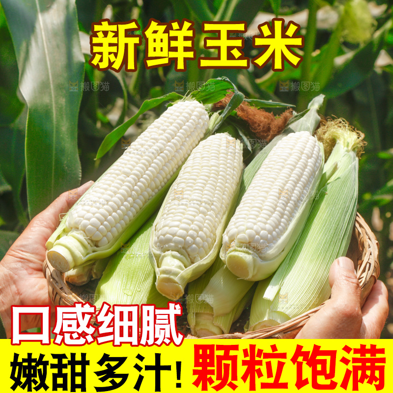 手里拿着一筐牛奶玉米
