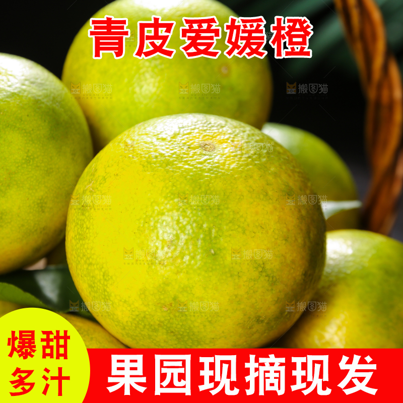 篮子里的爱媛果冻橙