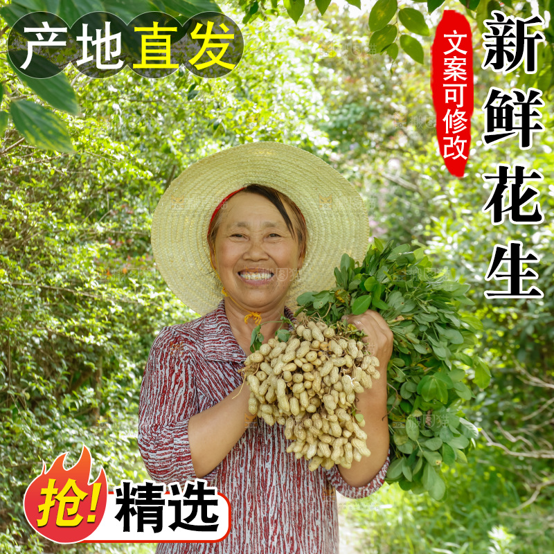 农民手里抱着新鲜花生
