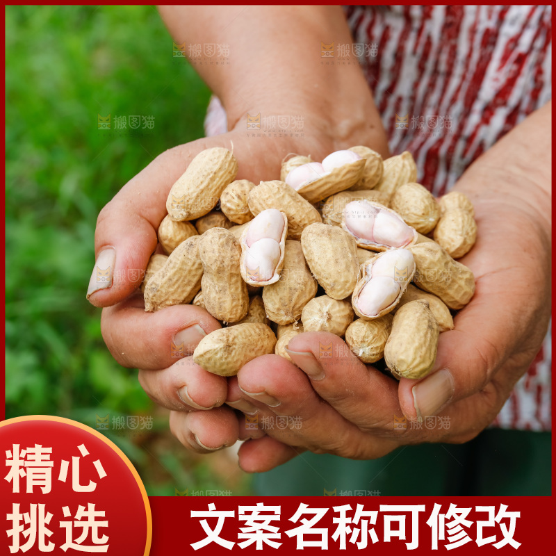 手里的捧着新鲜花生